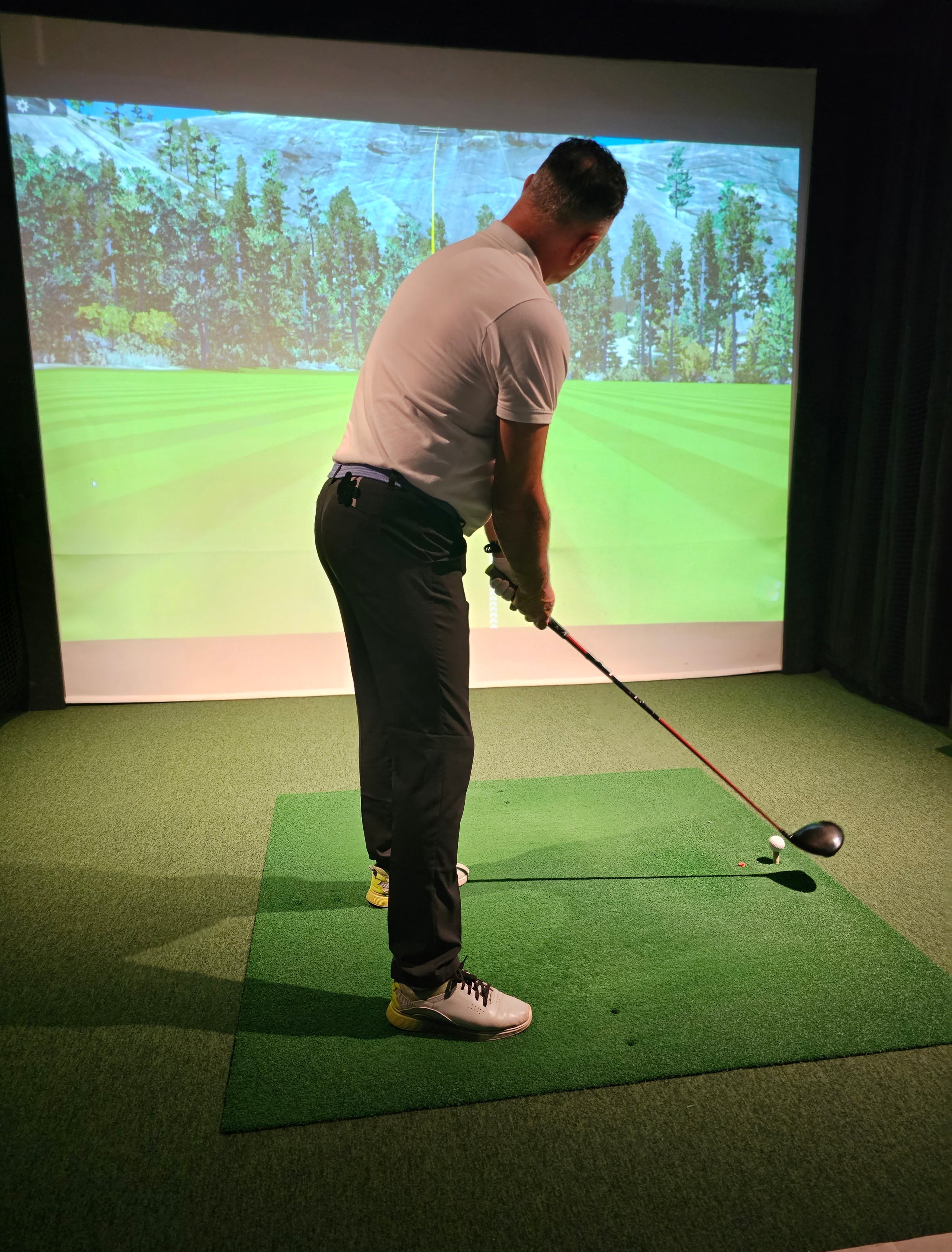 Indoor golf practice session